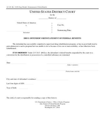 US Courts Form AO249