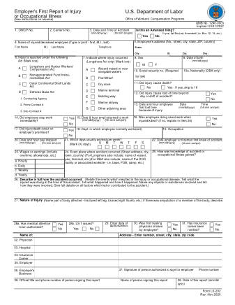 DOL Form LS 202