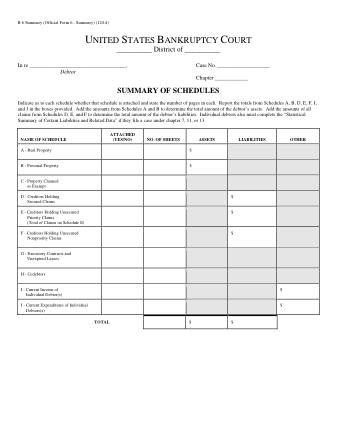 US Courts Form B 6 SUMMARY 0