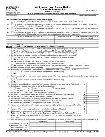 IRS Form 1065SM3