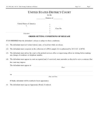US Courts Form AO199A
