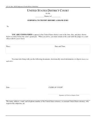 US Courts Form AO110