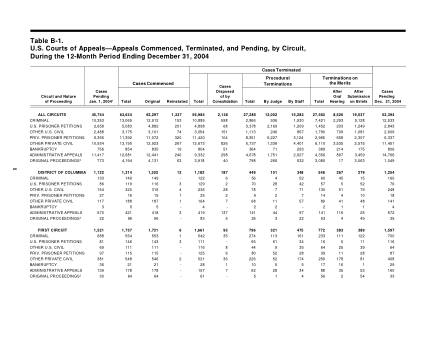 US Courts Form B01DEC04