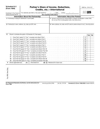 IRS Form 1065SK3