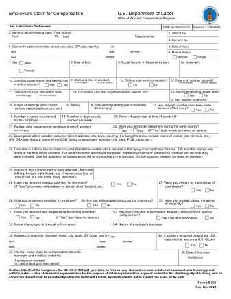 DOL Form LS 203