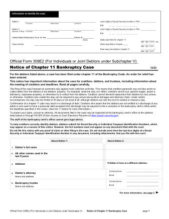 US Courts Form B 309E2