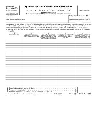 IRS Form 8038CPA