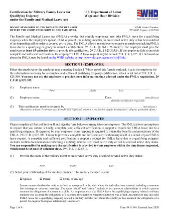 DOL Form WH 384