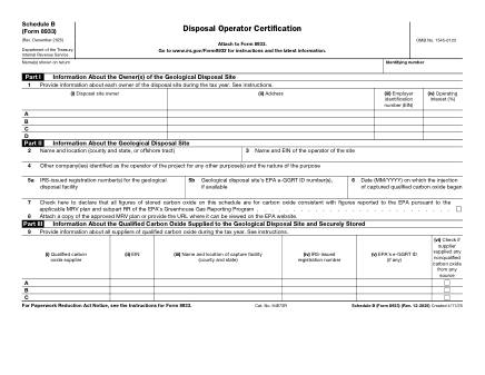 IRS Form 8933SB