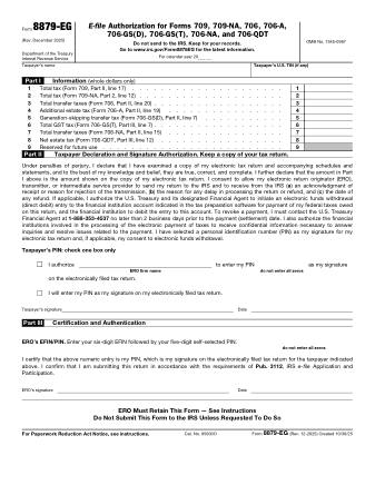IRS Form 8879EG