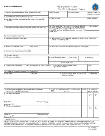 DOL Form LS 262