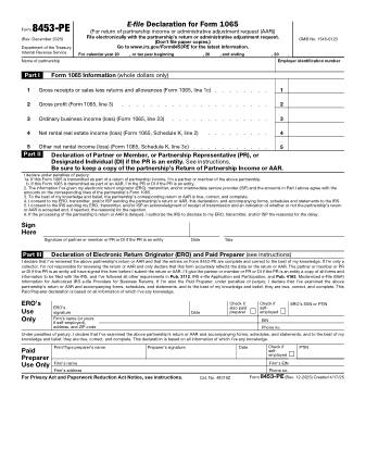 IRS Form 8453PE