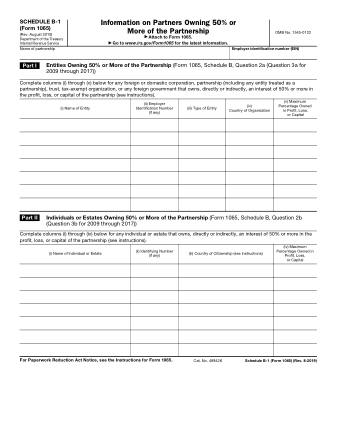 IRS Form 1065SB1