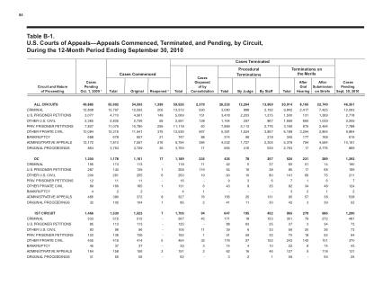 US Courts Form B01SEP10