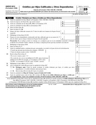 IRS Form 1040S8S