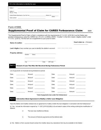 US Courts Form FORM 4100S 0221 0