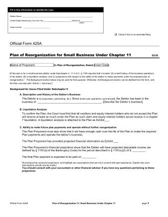 US Courts Form B 425A 0220 0