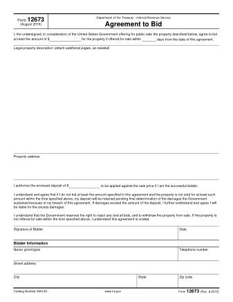 IRS Form 12673