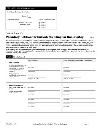 US Courts Form B 101 2020 04