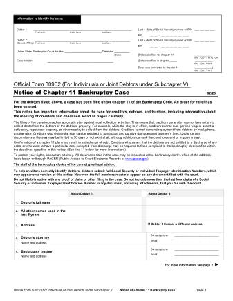 US Courts Form B 309E2 0220