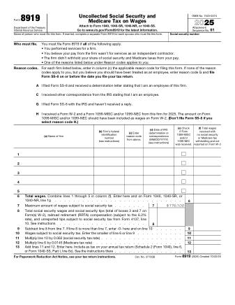 IRS Form 8919