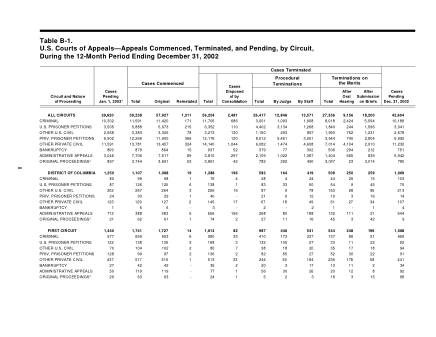 US Courts Form B001DEC02