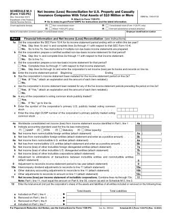IRS Form 1120PM3