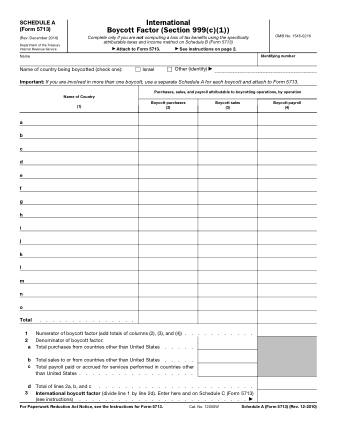 IRS Form 5713SA