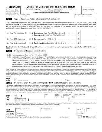 IRS Form 8453EX