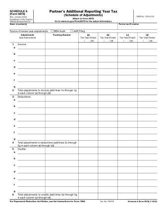 IRS Form 8978SA