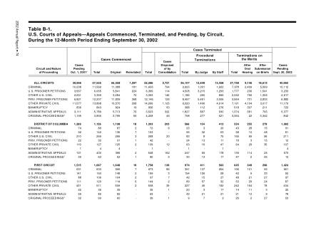 US Courts Form B01SEP02