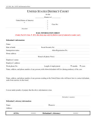 US Courts Form AO100A 0