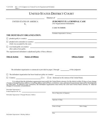 US Courts Form AO245E