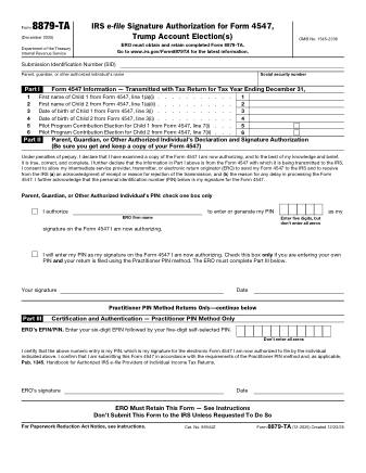IRS Form 8879TA