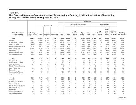 US Courts Form B01JUN15 0