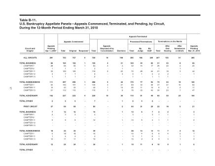 US Courts Form B11MAR10