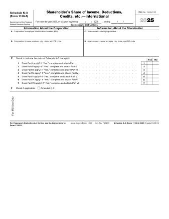 IRS Form 1120SK3