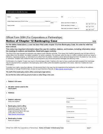 US Courts Form B 309H