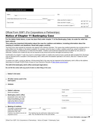 US Courts Form B 309F1