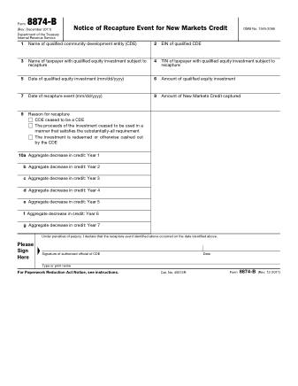 IRS Form 8874B