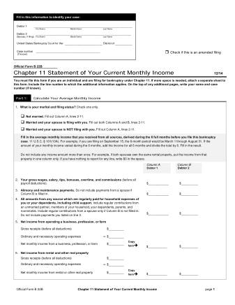 US Courts Form B 22B