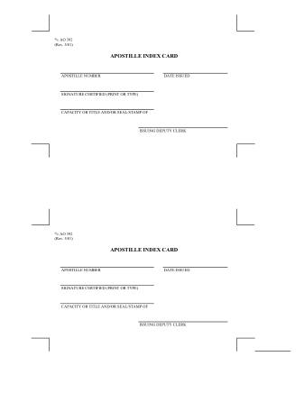 US Courts Form AO392