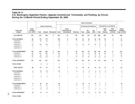 US Courts Form B11 1