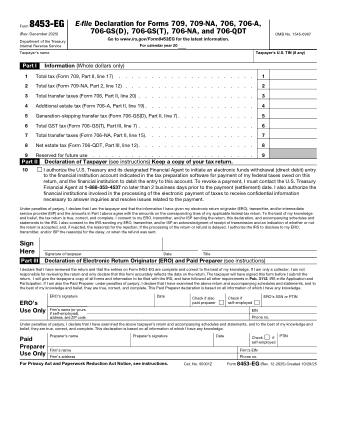 IRS Form 8453EG