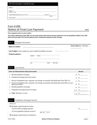 US Courts Form FORM 4100N 0
