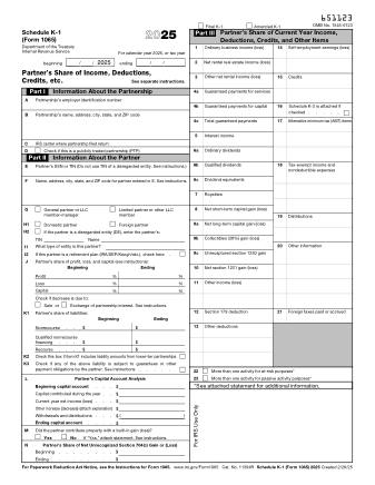 IRS Form 1065SK1