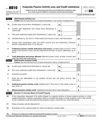 IRS Form 8810