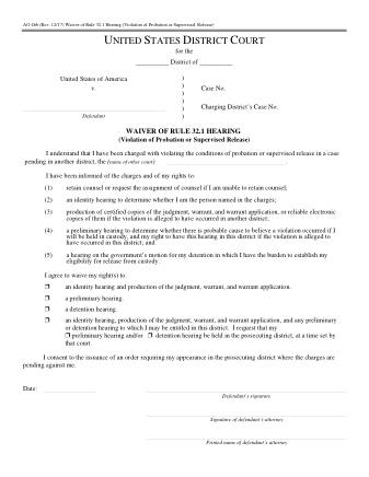 US Courts Form AO466