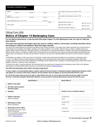 US Courts Form B 309I 1217