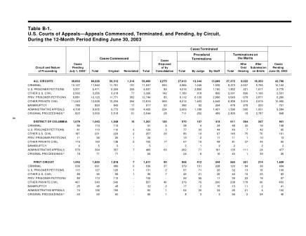 US Courts Form B001JUN03